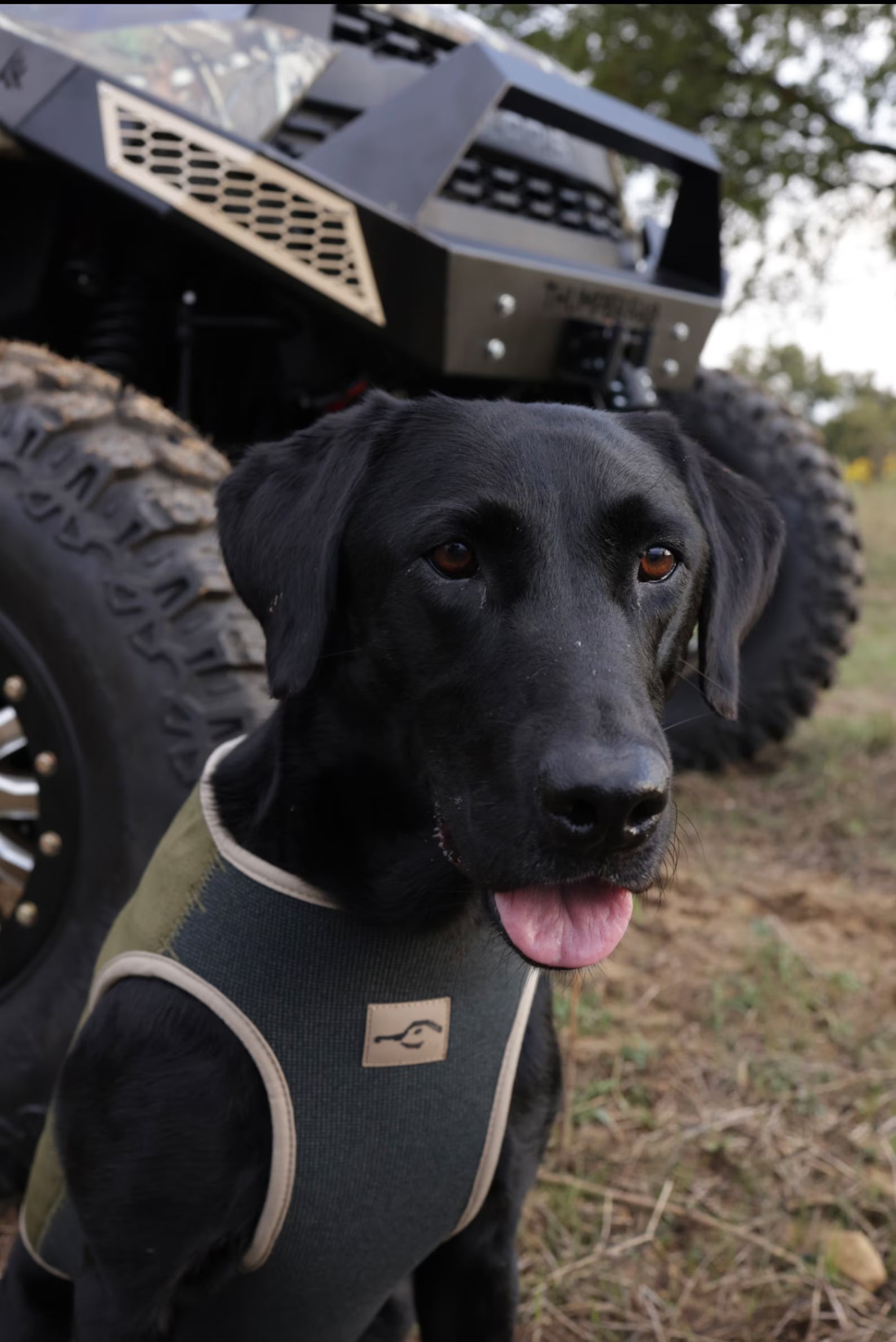 Waterfowl Lightroom Presets: Outdoor Lifestyle Filter