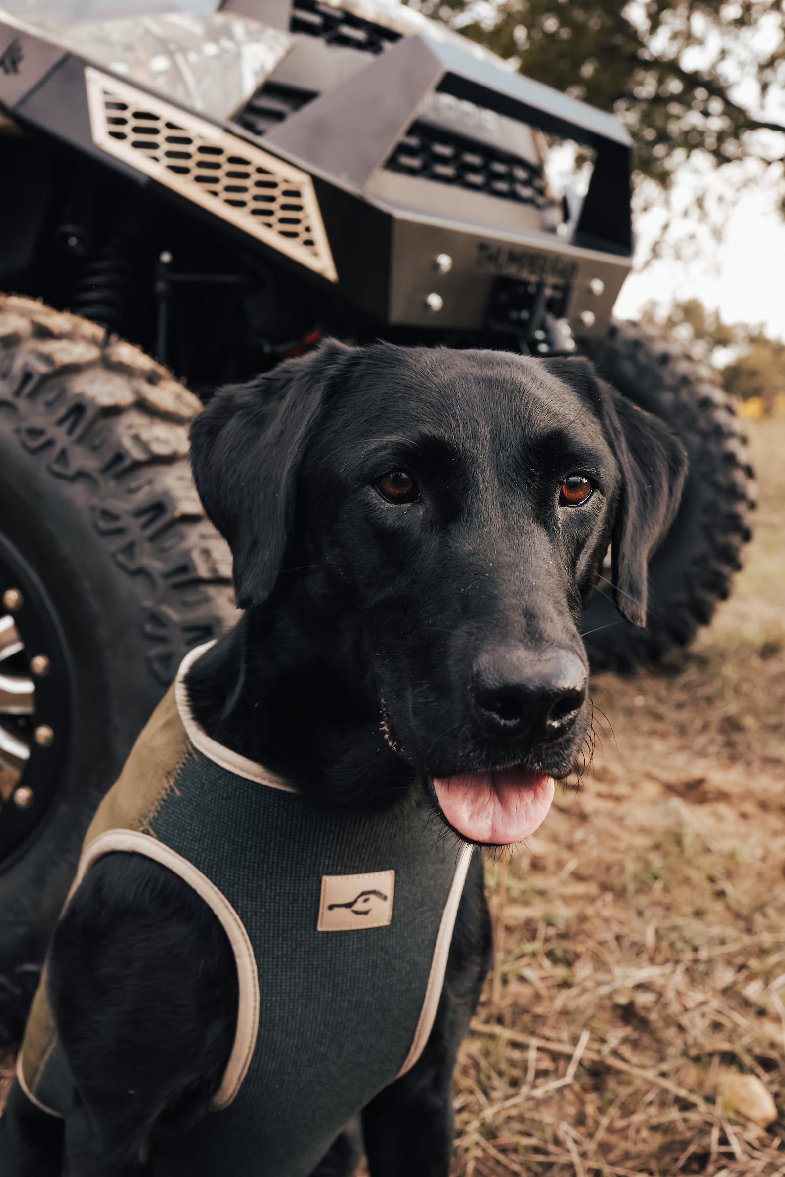 Waterfowl Lightroom Presets: Outdoor Lifestyle Filter